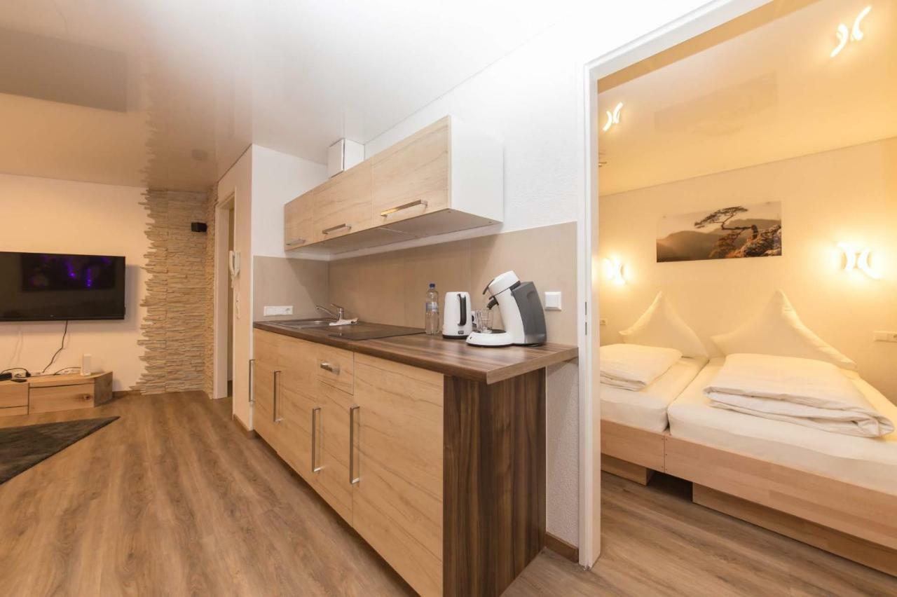 Landmann Apartment Metzingen Метцинген Экстерьер фото